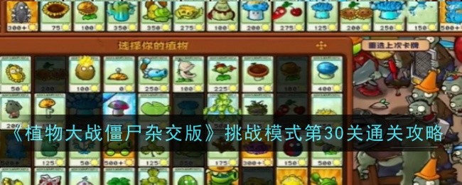 植物大战僵尸杂交版挑战模式第30关通关攻略